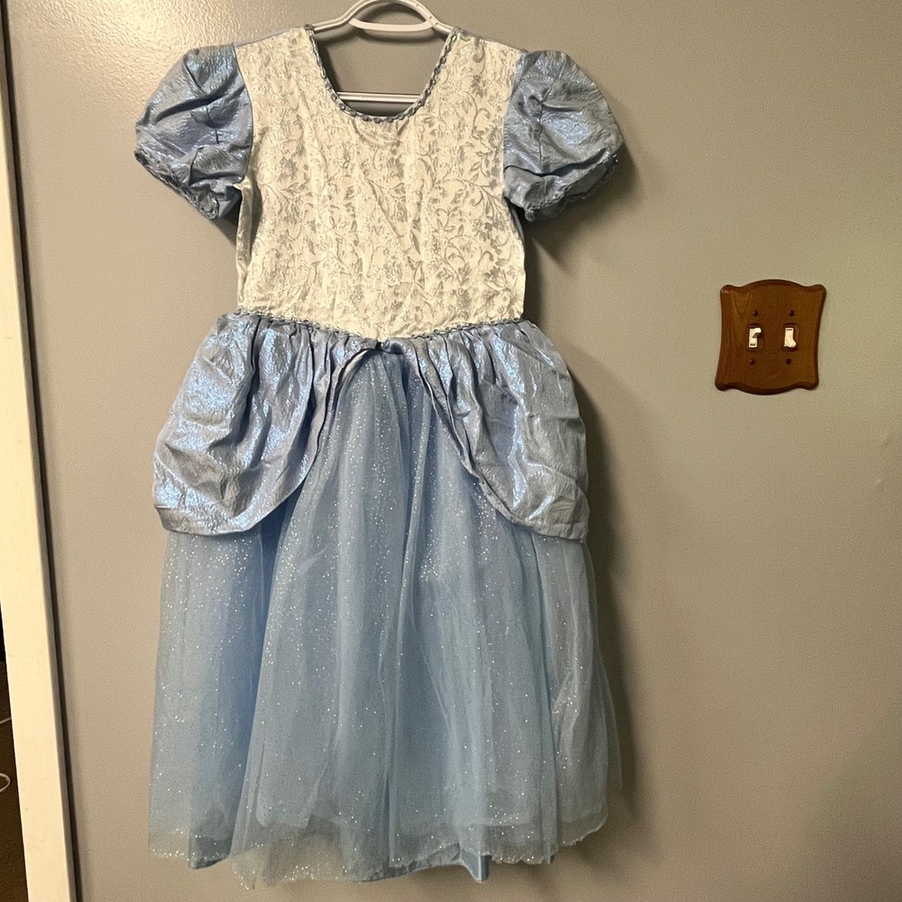 Light Blue Princess Costume Dress Shimmering Floral Tulle Glitter Gown Halloween